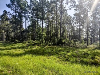 0 SE Hwy 337 Unit MFROM662039, Morriston, FL 32668
