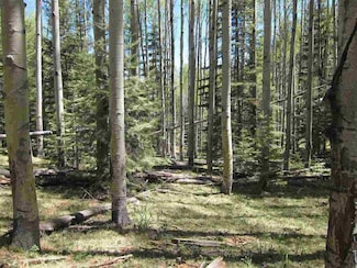 0 Ely Ln Unit D-1, Cloudcroft, NM 88317