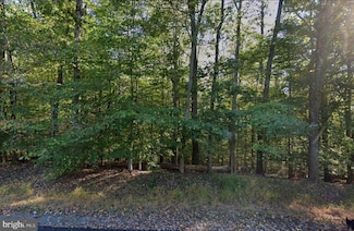 250 Springvale Rd, Great Falls, VA 22066