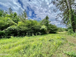 0002 Seventh Day Rd, Florence, MS 39073