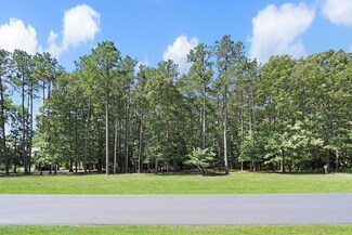 Lot 93 Olde Mill Ln Unit 93, Horntown, VA 23395