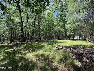 497 Timber Ridge Dr, Lackawaxen Township, PA 18428