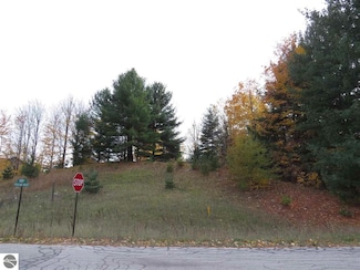 Lot 62 Eden St, Kingsley, MI 49649