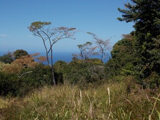 0 Ka'Oheli'i Rd Unit 668572, Captain Cook, HI 96704