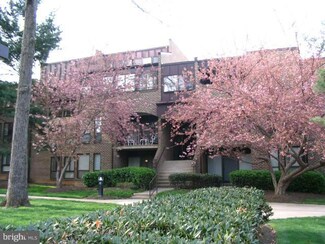 11260 Chestnut Grove Square Unit 337, Reston, VA 20190