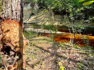 tbd Old Cty I Rd, Black River Falls, WI 54615