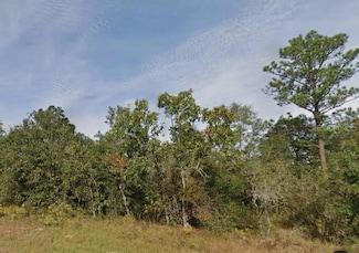 0 Melshire Dr Unit MFRO6321269, Chipley, FL 32428