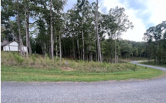LT 11 Lake Top Ln, Ellijay, GA 30540