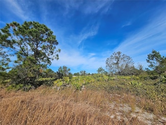 1810 Nantucket Rd, Avon Park, FL 33825