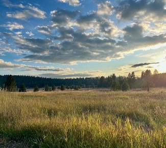 Lot 17 Whitefield Ln Unit 17, McCall, ID 83638