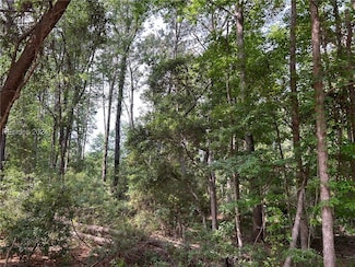 114 Cooper River Landing Rd, Daufuskie Island, SC 29915