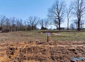 Lot 4 County Road 825, Scottsboro, AL 35768