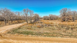 TBD Rambling Rd, Perrin, TX 76486