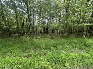 Lots 85 and 86 Lakeview Dr, Terra Alta, WV 26764