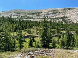 Tbd Trapper Creek Rd, Dillon, MT 59725