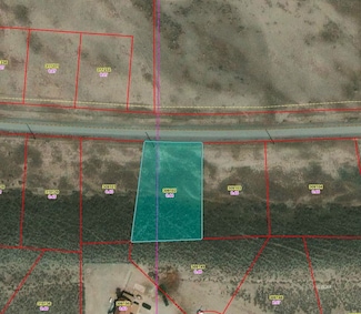 125 & 127 Jefferson Dr, Kingston, NV 89310