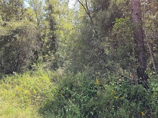 Lot 14 SW 156th Ct, Ocala, FL 34481