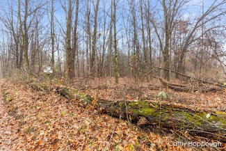 V/L W Snows Lake Rd Unit Parcel 1, Fenwick, MI 48834