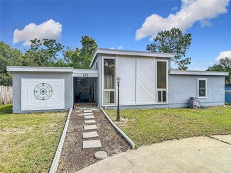 219 E Fern Dr, Orange City, FL 32763
