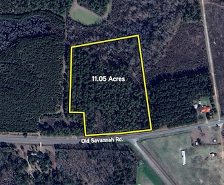 1857 B Old Savannah Rd, Midville, GA 30441