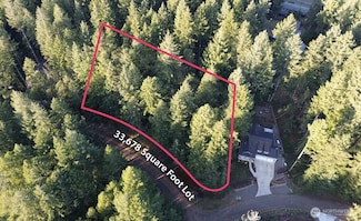 10502 Madrona Dr, Anderson Island, WA 98303