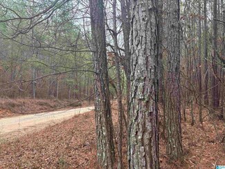 0 County Road 823 Unit 2 21408768, Wadley, AL 36276