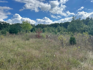 XXX 424th St, Harris, MN 55032