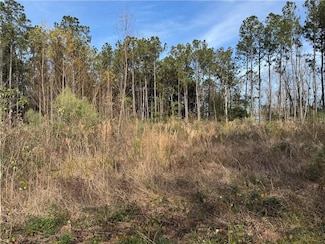 0 Coci Rd, Pearl River, LA 70452
