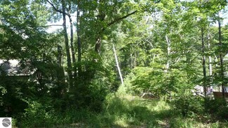 0 S Fifth St Unit 1835565, Leland, MI 49654