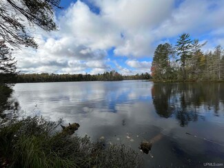 TBD Horseshoe Lake Rd, Republic Township, MI 49879