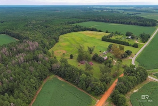 1147 MacK Pond Rd, Atmore, AL 36502