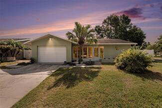 1003 Carol Ann Place, Dunedin, FL 34698