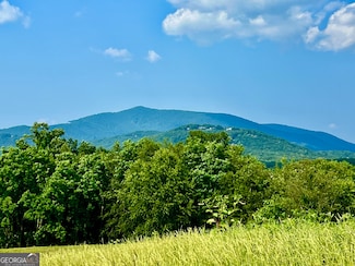 26 Ridgemont Ln, Ellijay, GA 30536