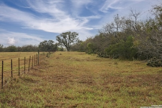 TBD Texas 239, Goliad, TX 77963