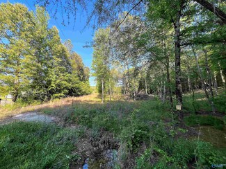 2 ac Hawk Rd, Southside, AL 35907
