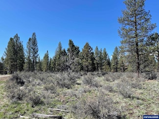 TL 1600 Nf Road 44 Rd, Chiloquin, OR 97624