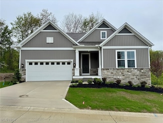 11388 Ivy Ridge Dr, Painesville, OH 44077