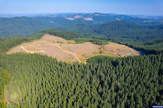 0 Bald Mountain Rd, Beaver, OR 97108