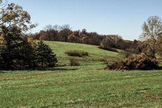 Tract 5 E 425th Rd, Fair Play, MO 65649