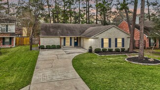 26 Sheep Meadow Place, Spring, TX 77381