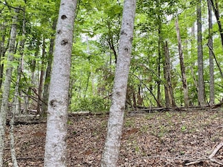 0 Granny Smith Ln Unit LOT  30, Lake Lure, NC 28746