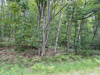 106 Locksley Dr, Otsego Lake Township, MI 49733