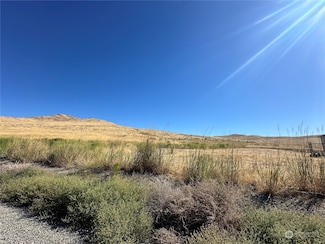0 Bill Shaw Rd Unit NWM2286105, Pateros, WA 98846