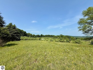 0 S Cedar Rd Unit 1935368, Cedar, MI 49621