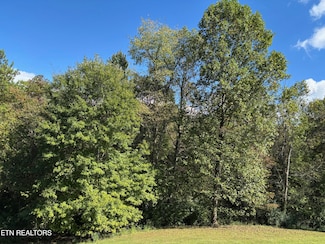 595 Ricky Dr, Talbott, TN 37877