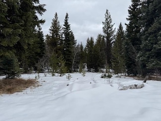 Lot 76 Thunderbolt Place Unit 76, McCall, ID 83638