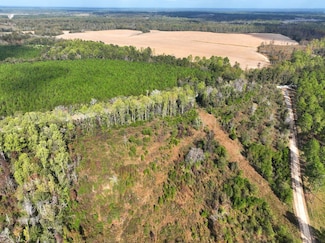 0 Fish Rd, Eastman, GA 31023
