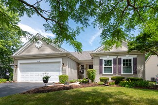 446 Badger Ln Unit 1, Oswego, IL 60543