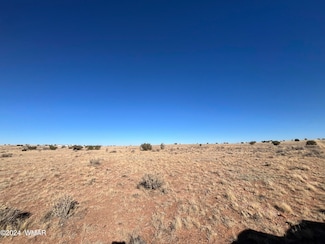 7526 Oak Tree Ln, Snowflake, AZ 85937