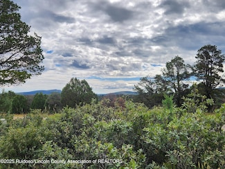 50B Bobby Jones Ct, Alto, NM 88312